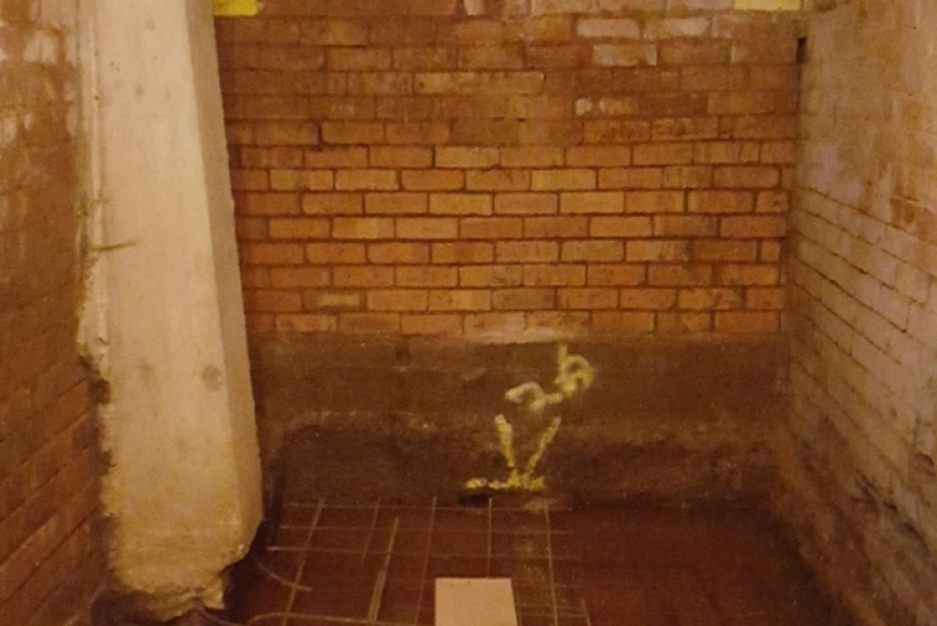 Cellar Conversion Example &amp; Ideas -