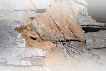 Wet &amp; Dry Rot Treatments