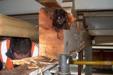 Timber Repair