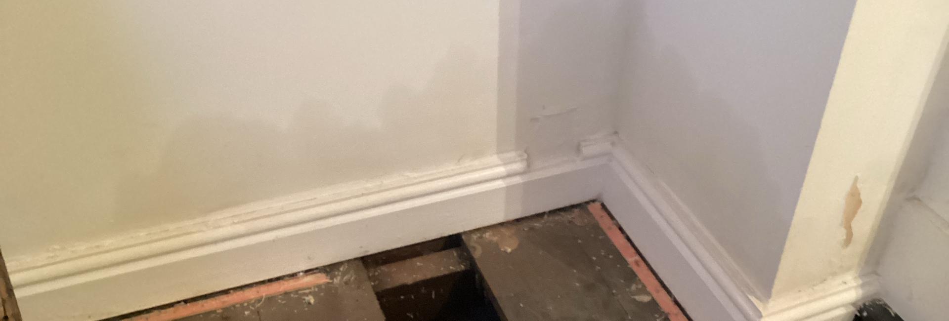 Damp Proofing