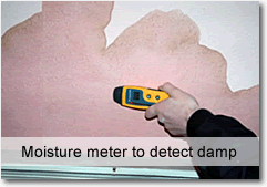 Moisture meter to detect damp by surveyor