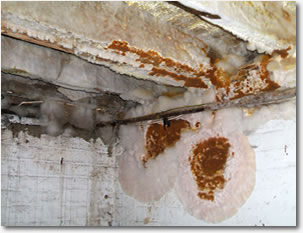 Wet & Dry Rpt problems in buildings in Solihull